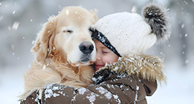 family-car-with-dog